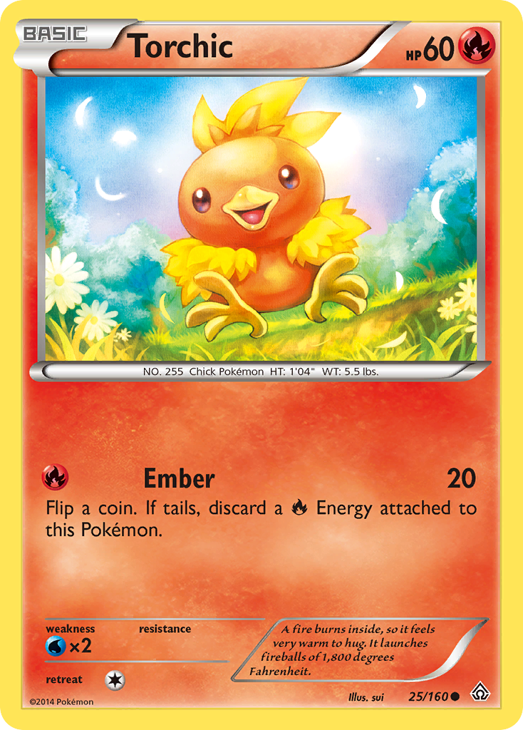 Torchic #25