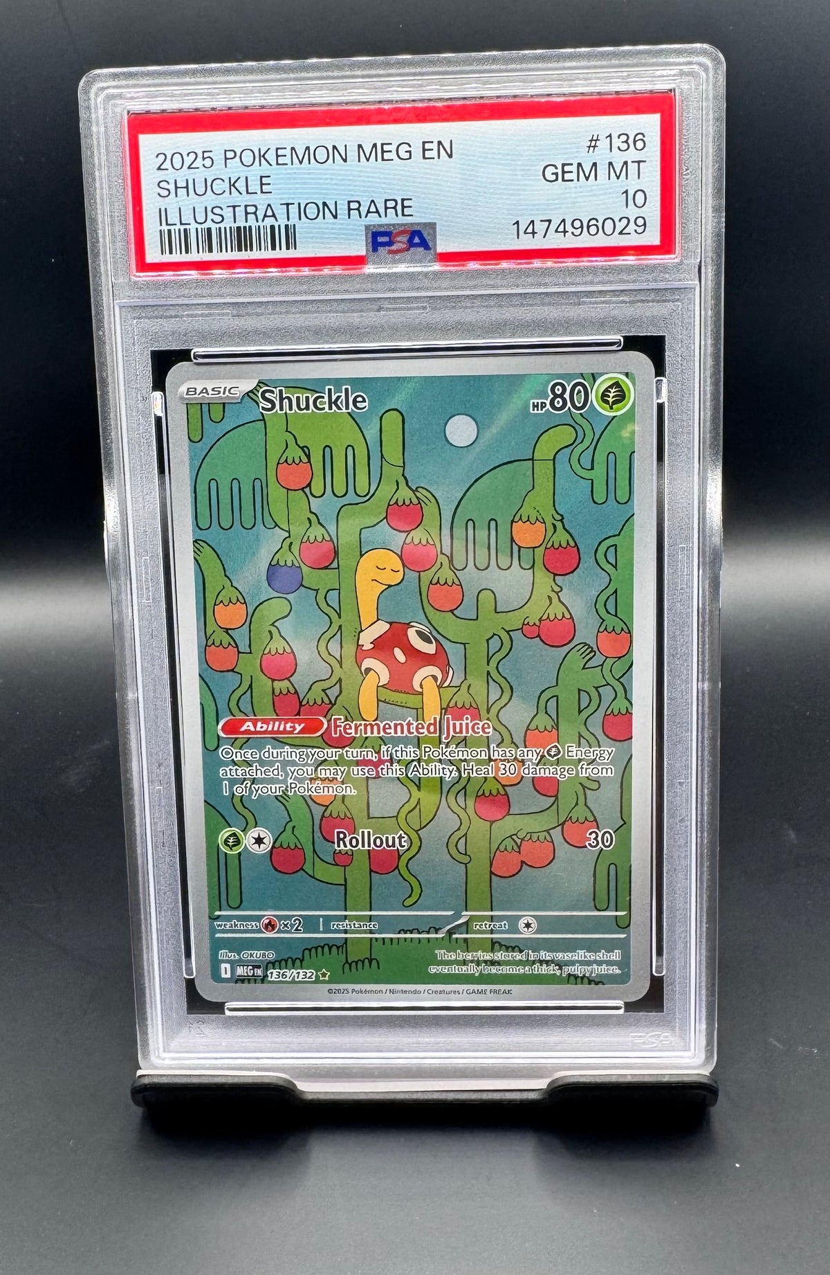 Shuckle #136 — Mega Evolution — PSA 10